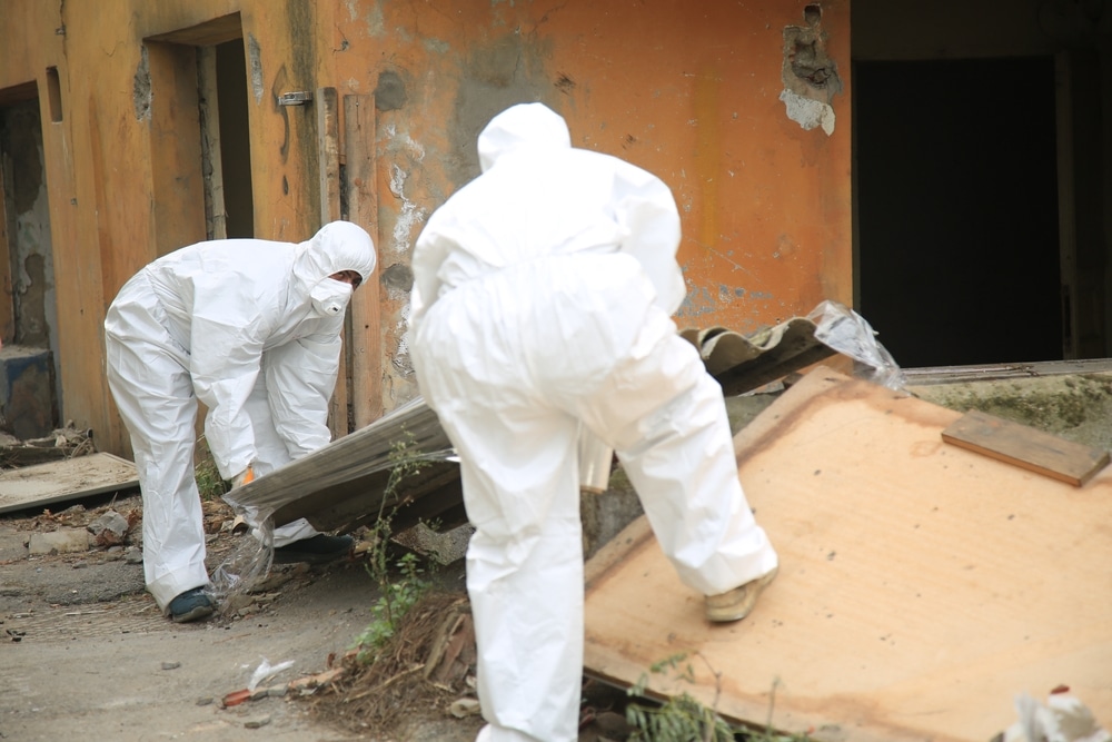Professional Asbestos Removal