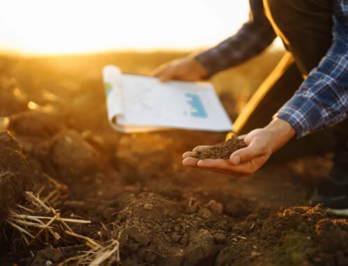 Why Can’t You Build on Contaminated Soil?