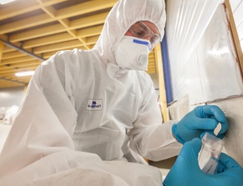 Does Asbestos HAVE to Be Removed? NSW Rules Explained